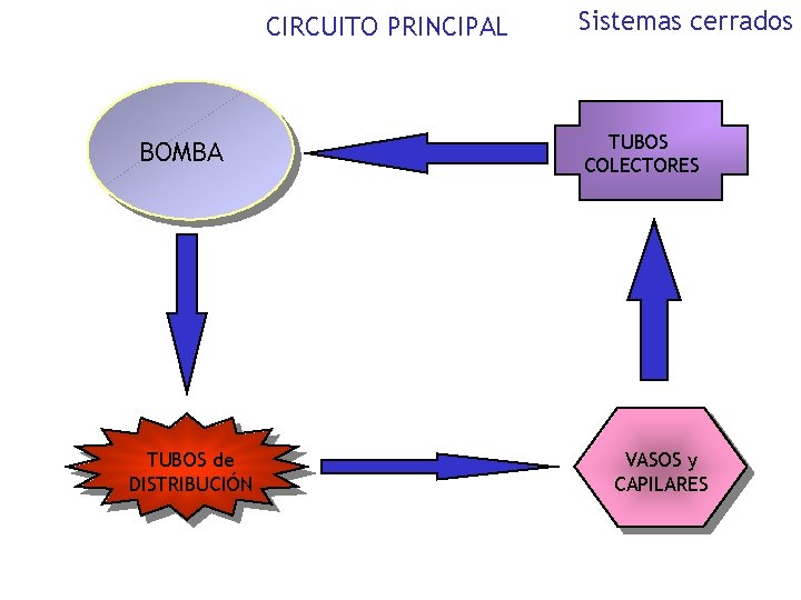 CIRCUITO PRINCIPAL BOMBA TUBOS de DISTRIBUCIÓN Sistemas cerrados TUBOS COLECTORES VASOS y CAPILARES 