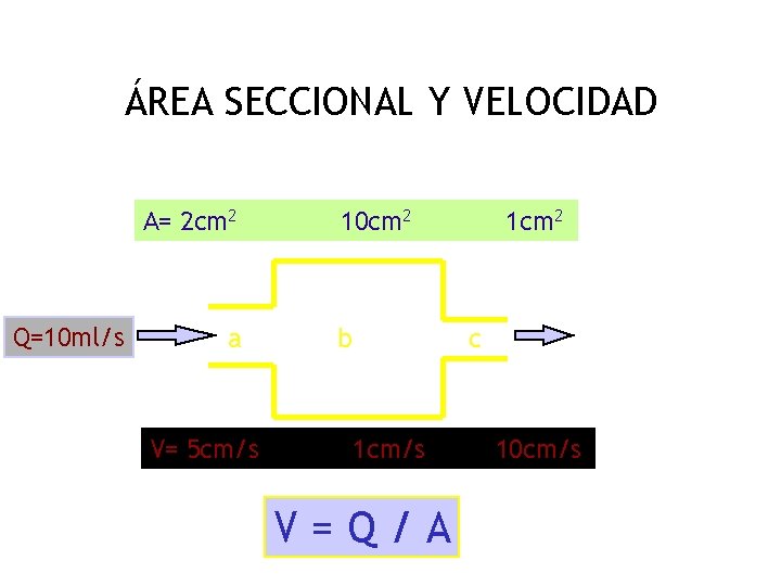 ÁREA SECCIONAL Y VELOCIDAD A= 2 cm 2 Q=10 ml/s a V= 5 cm/s