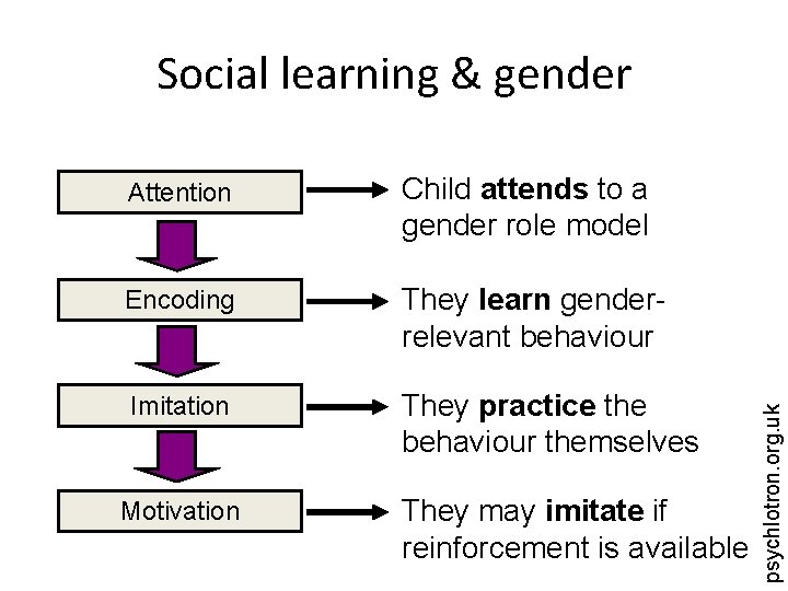 Attention Child attends to a gender role model Encoding They learn genderrelevant behaviour Imitation