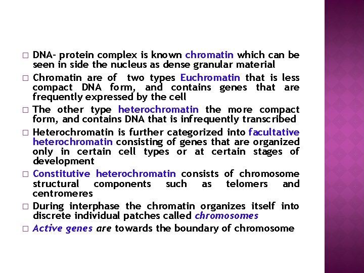 � � � � DNA- protein complex is known chromatin which can be seen