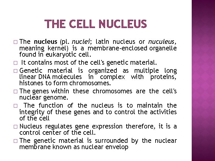 THE CELL NUCLEUS The nucleus (pl. nuclei; latin nucleus or nuculeus, meaning kernel) is