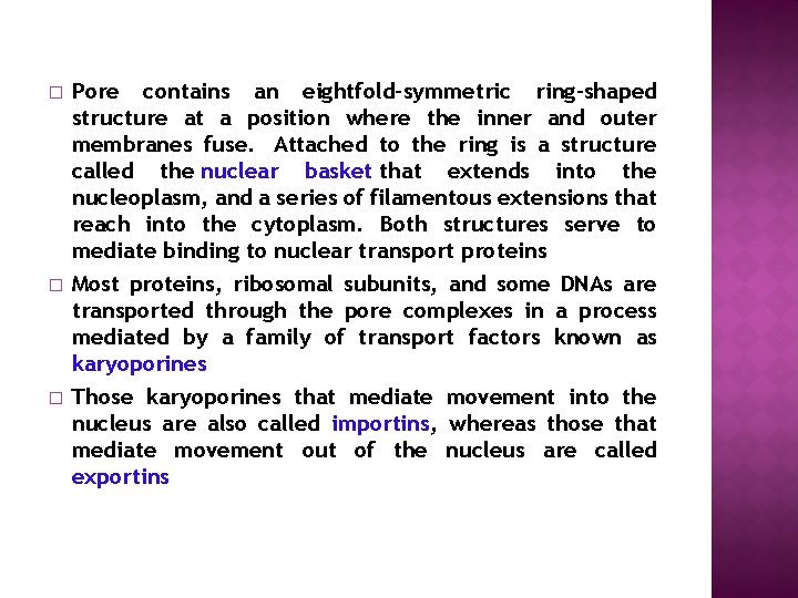 � � � Pore contains an eightfold-symmetric ring-shaped structure at a position where the