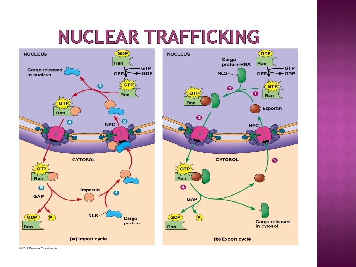 NUCLEAR TRAFFICKING 