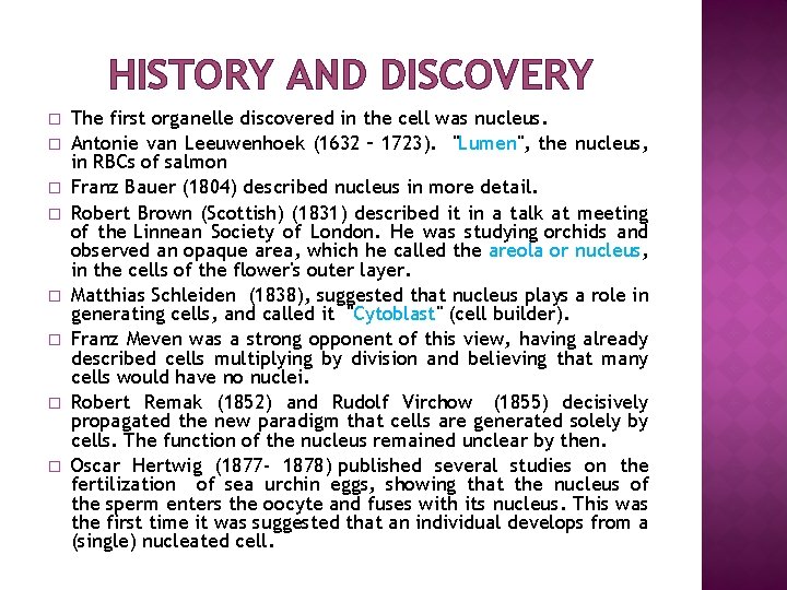 HISTORY AND DISCOVERY � � � � The first organelle discovered in the cell