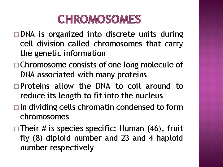 CHROMOSOMES � DNA is organized into discrete units during cell division called chromosomes that