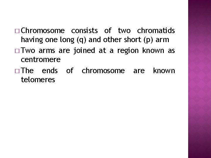 � Chromosome consists of two chromatids having one long (q) and other short (p)