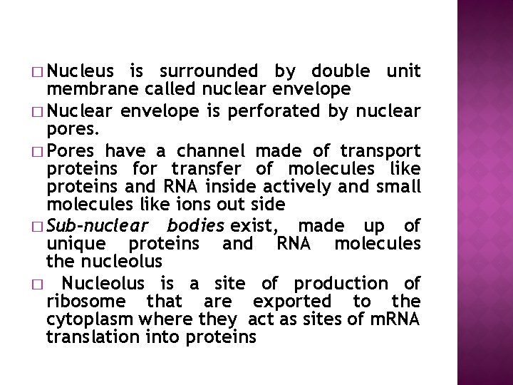 � Nucleus is surrounded by double unit membrane called nuclear envelope � Nuclear envelope