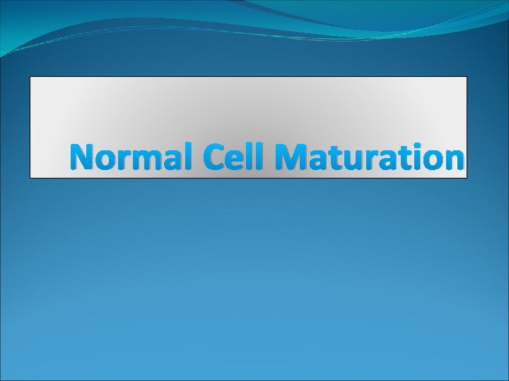 Normal Cell Maturation 