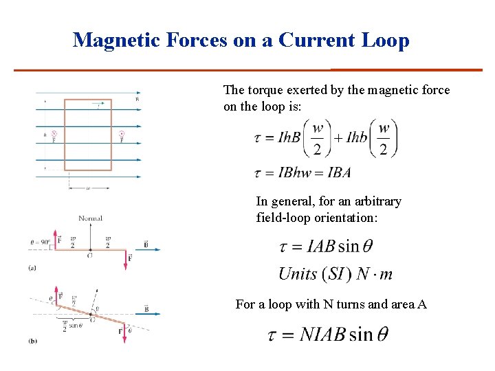 Magnetic Forces on a Current Loop The torque exerted by the magnetic force on