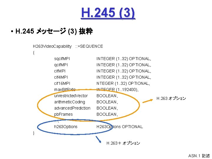 H. 245 (3) • H. 245 メッセージ (3) 抜粋 H 263 Video. Capability :