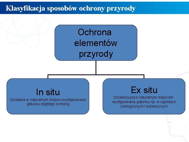 Klasyfikacja sposobów ochrony przyrody Ochrona elementów przyrody In situ Działania w naturalnym miejscu występowania