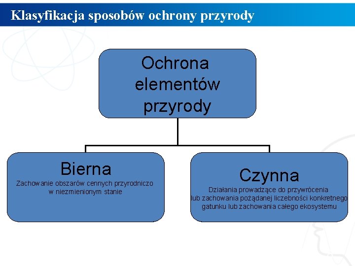 Klasyfikacja sposobów ochrony przyrody Ochrona elementów przyrody Bierna Zachowanie obszarów cennych przyrodniczo w niezmienionym