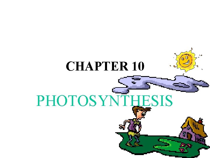 CHAPTER 10 PHOTOSYNTHESIS 