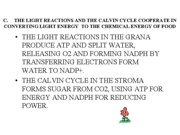 C. THE LIGHT REACTIONS AND THE CALVIN CYCLE COOPERATE IN CONVERTING LIGHT ENERGY TO
