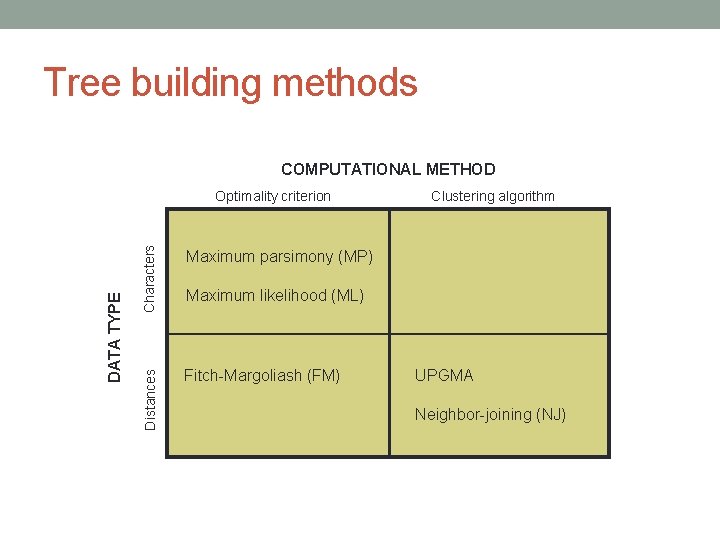 Tree building methods COMPUTATIONAL METHOD Characters Maximum parsimony (MP) Distances DATA TYPE Optimality criterion