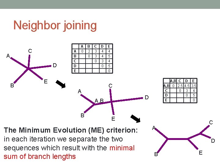 Neighbor joining C A D B A B C D E A 0 B