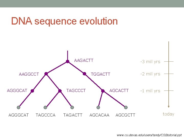 DNA sequence evolution AAGACTT AAGGCCT AGGGCAT -2 mil yrs TGGACTT TAGCCCA -3 mil yrs