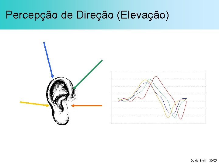 Percepção de Direção (Elevação) Guido Stolfi 30/65 