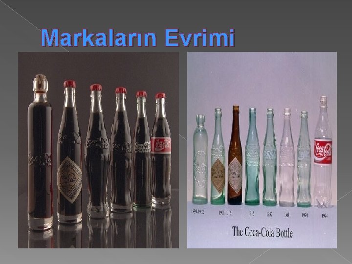 Markaların Evrimi 