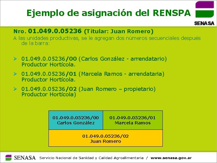 Ejemplo de asignación del RENSPA Nro. 01. 049. 0. 05236 (Titular: Juan Romero) A