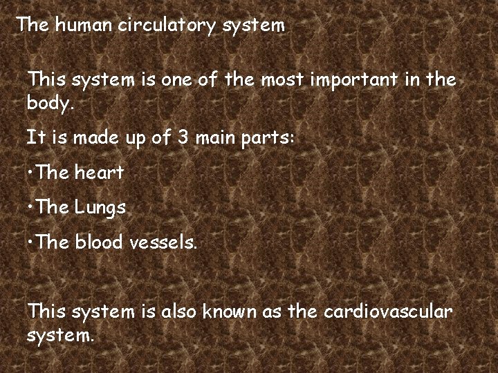 The human circulatory system This system is one of the most important in the
