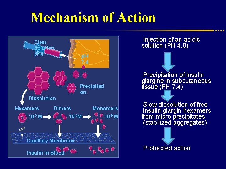 Mechanism of Action Injection of an acidic solution (PH 4. 0) Clear Solution p.