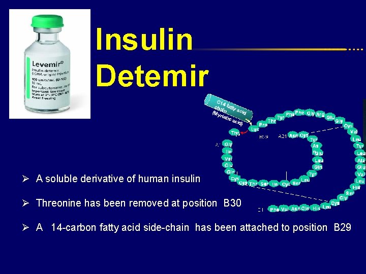 Insulin Detemir Ø A soluble derivative of human insulin Ø Threonine has been removed