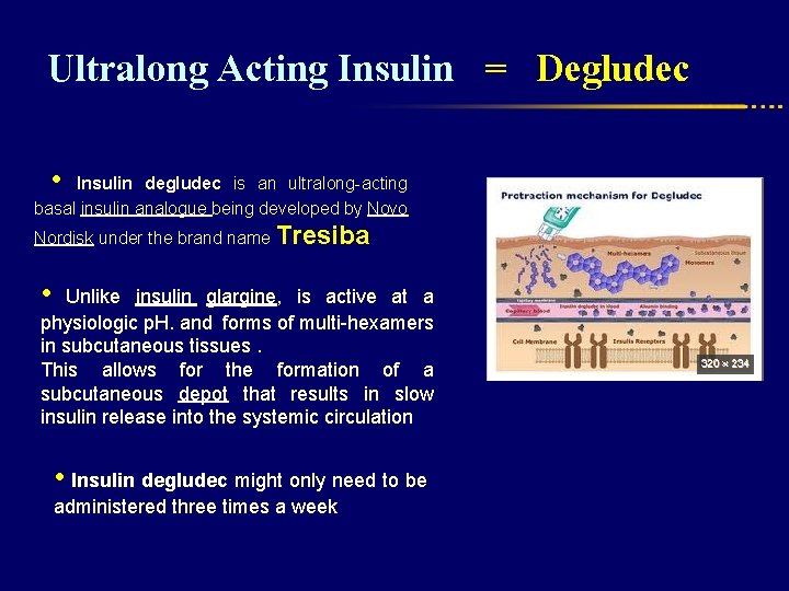Ultralong Acting Insulin = Degludec • Insulin degludec is an ultralong-acting basal insulin analogue