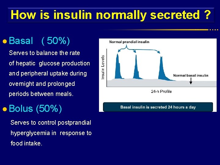 How is insulin normally secreted ? l Basal ( 50%) Serves to balance the