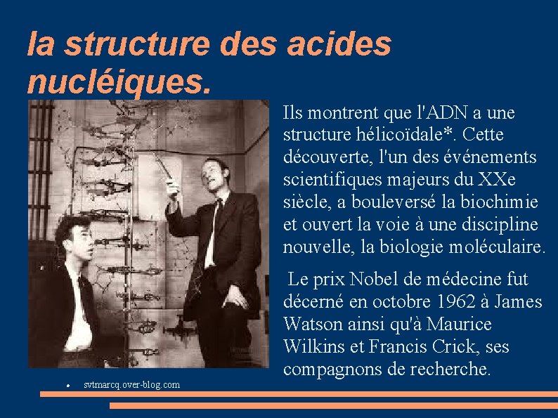 la structure des acides nucléiques. Ils montrent que l'ADN a une structure hélicoïdale*. Cette
