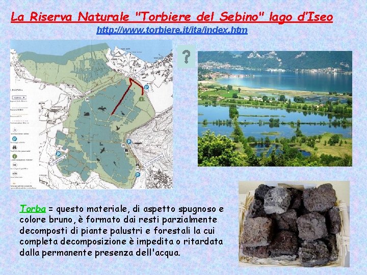La Riserva Naturale "Torbiere del Sebino" lago d’Iseo http: //www. torbiere. it/ita/index. htm Torba