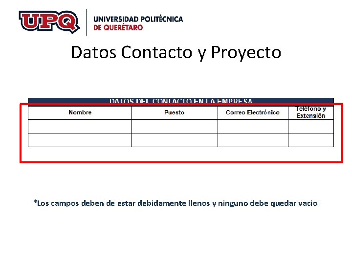 Datos Contacto y Proyecto *Los campos deben de estar debidamente llenos y ninguno debe Datos Contacto y Proyecto *Los campos deben de estar debidamente llenos y ninguno debe