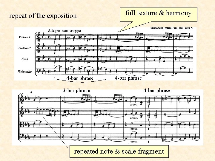 repeat of the exposition 4 -bar phrase 3 -bar phrase full texture & harmony