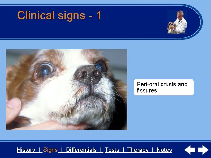 Clinical signs - 1 Peri-oral crusts and fissures History | Signs | Differentials |