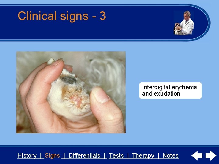 Clinical signs - 3 Interdigital erythema and exudation History | Signs | Differentials |