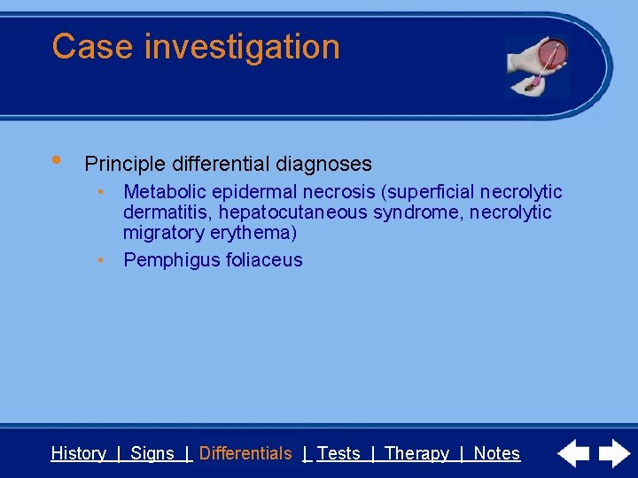 Case investigation • Principle differential diagnoses • Metabolic epidermal necrosis (superficial necrolytic dermatitis, hepatocutaneous