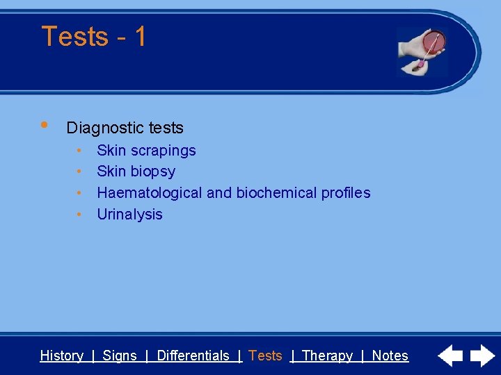 Tests - 1 • Diagnostic tests • • Skin scrapings Skin biopsy Haematological and