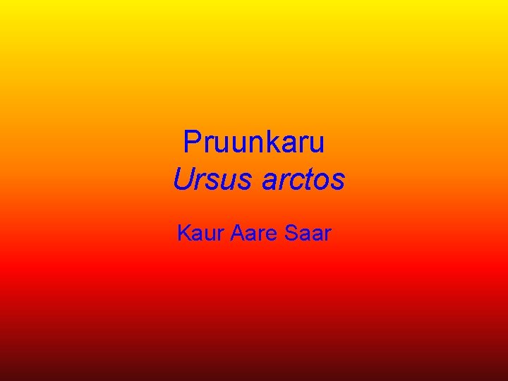 Pruunkaru Ursus arctos Kaur Aare Saar 