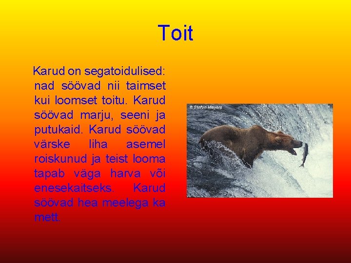 Toit Karud on segatoidulised: nad söövad nii taimset kui loomset toitu. Karud söövad marju,