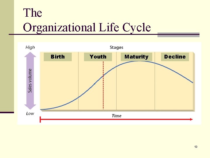 The Organizational Life Cycle Birth Youth Maturity Decline 13 