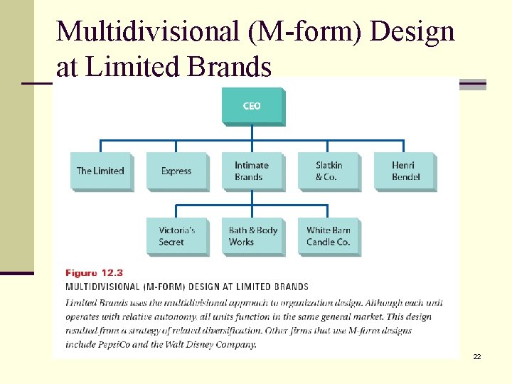 Multidivisional (M-form) Design at Limited Brands 22 