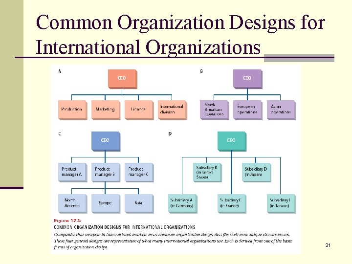 Common Organization Designs for International Organizations 31 