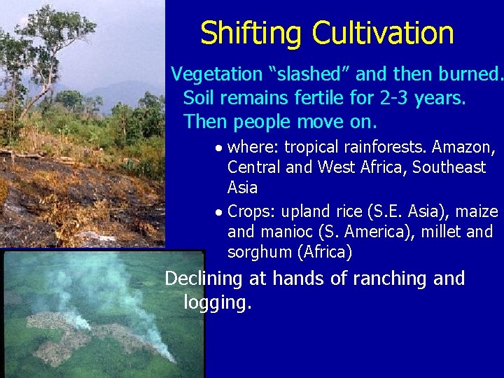 Shifting Cultivation Vegetation “slashed” and then burned. Soil remains fertile for 2 -3 years.