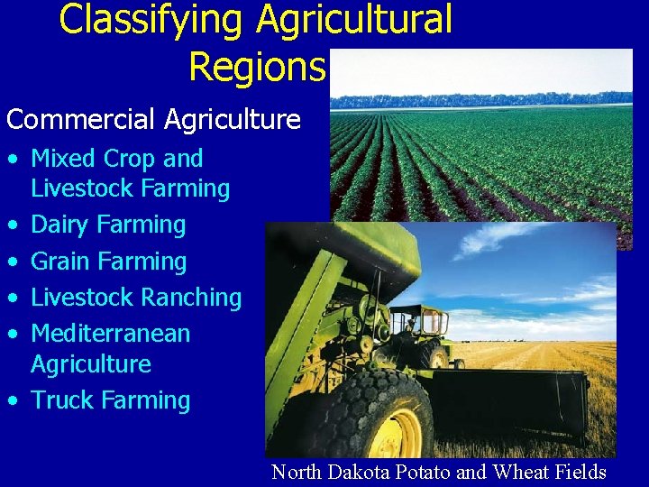 Classifying Agricultural Regions Commercial Agriculture • Mixed Crop and Livestock Farming • Dairy Farming