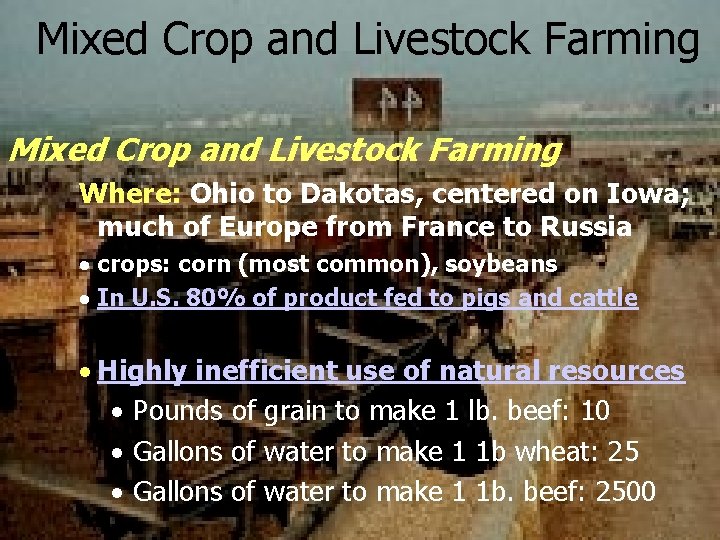 Mixed Crop and Livestock Farming Where: Ohio to Dakotas, centered on Iowa; much of