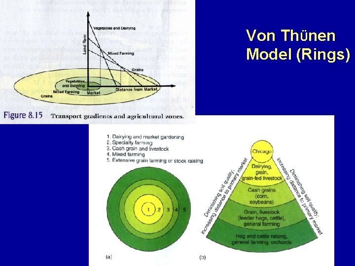 Von ThÜnen Model (Rings) 