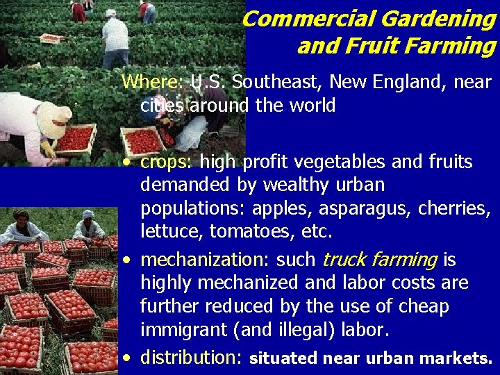 Commercial Gardening and Fruit Farming Where: U. S. Southeast, New England, near cities around