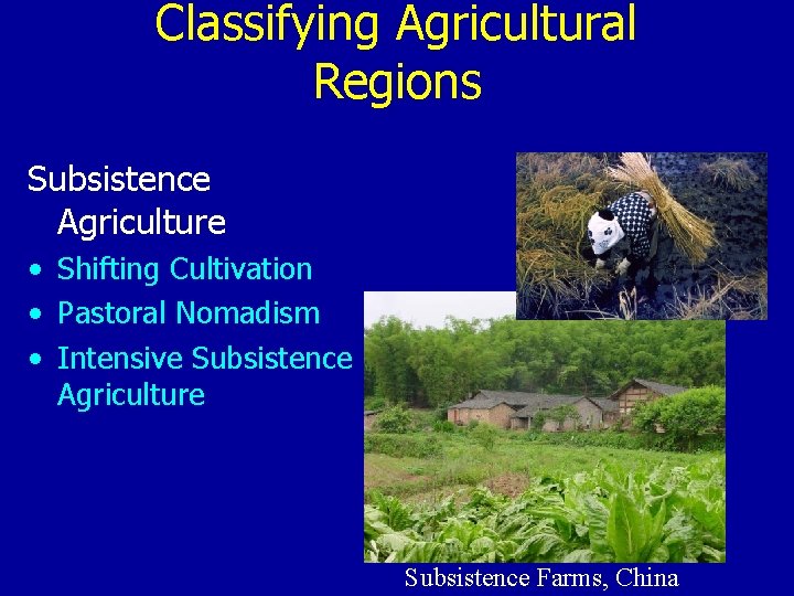 Classifying Agricultural Regions Subsistence Agriculture • Shifting Cultivation • Pastoral Nomadism • Intensive Subsistence