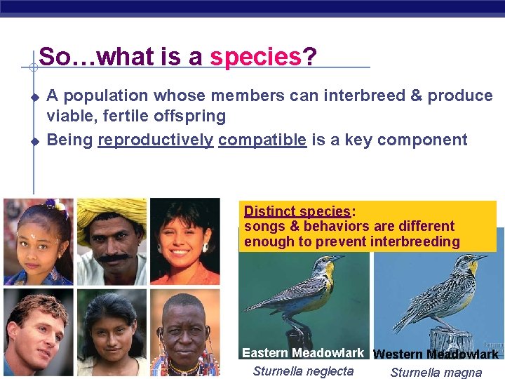 So…what is a species? u u A population whose members can interbreed & produce