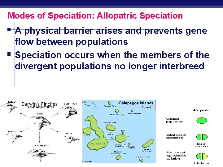 Modes of Speciation: Allopatric Speciation § A physical barrier arises and prevents gene §